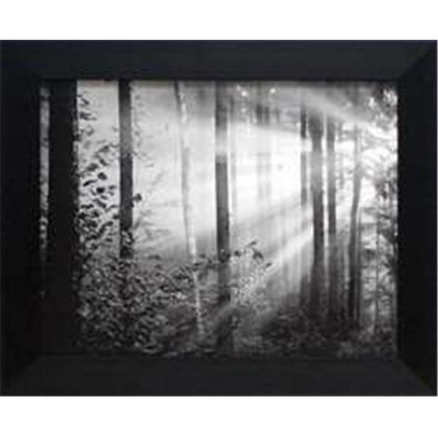 Artistic Reflections Te014 18 x 22 in. Light Through the Trees II Photographic Forest Trees Landscape Art Print