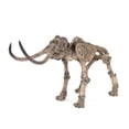 thumbnail image 3 of Zentique SHI012 Mammoth Skeleton- 10 x 17 x 31 in., 3 of 3