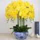 thumbnail image 3 of Flores artificiales de Phalaenopsis de 37" 6 piezas de flores artificiales de orquídea con tallo para decoración del hogar, amarillo, 3 of 6