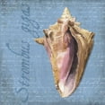 thumbnail image 2 of Reed, Tara 26x26 Black Ornate Wood Framed with Double Matting Museum Art Print Titled - Oceanum Shells Blue I, 2 of 4