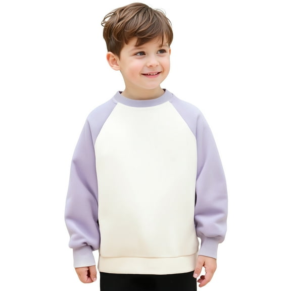 Toddler Boy Sweatshirt Long Sleeve Color Block Oversized Crewneck Sweatshirts Warm Fall Winter Clothes Girls Sweatshirts Size 3T
