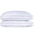 thumbnail image 1 of Juego estándar de 2 plumas de ganso y plumas de ganso Pillow Puredown®, 1 of 8