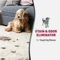 thumbnail image 2 of Nature's Miracle Advanced Dog Stain and Odor Eliminator for Severe Dog Messes, Sunny Lemon, 32 oz, 2 of 9