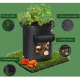thumbnail image 3 of SunStream 6 Pack 3 Gallon 11L Potato Grow Bags Non-woven Fabric Waterproof Heavy Duty Carrot Grow Bags with Handles and Window, 3 of 6