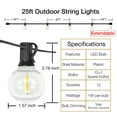 thumbnail image 3 of DAYBETTER Luces de Cadena para Exteriores de 25 Pies, Luces de Patio con Globo G40 con 12 Bombillas, Luces Colgantes Conectables a Prueba de Agua para Decoración de Patio Trasero, 3 of 8