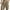 Khaki, variant on ZKCCNUK Mens Shorts Solid-Color Loose Casual Multi-Pocket Cotton-Linen Drawstring Shorts S-3XL