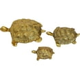 thumbnail image 4 of Swadeshi Desire Metal Feng Shui Set of 3 Tortoise Family for Good Luck Vastu Decorative Showpiece - 12.5 cm (Metal, Gold), 4 of 4