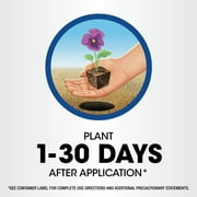 Roundup Weed & Grass Killer₄ Concentrate, Use in Flower Beds and Other Areas of Your Yard, 16 fl.oz.