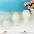 thumbnail image 4 of Farfi Piping Tip Converter Easy to Squeeze Flexible Reusable Food Grade Universal Baking Plastic Cake Icing Decoration Piping Nozzle Coupler Kitchen Tool (2 pcs,XL), 4 of 13
