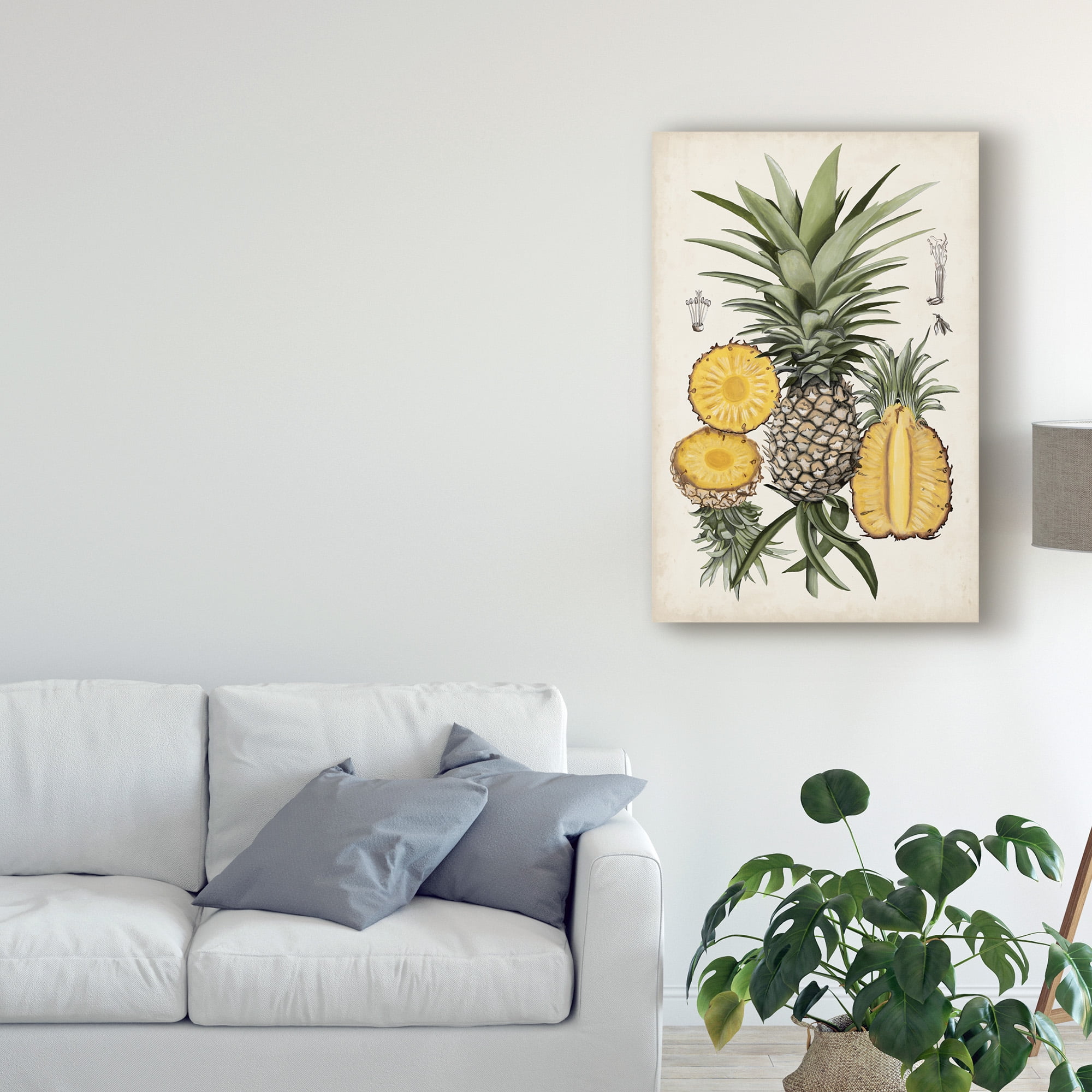 Trademark Fine Art 'Pineapple Botanical Study I' Canvas Art by Naomi McCavitt
