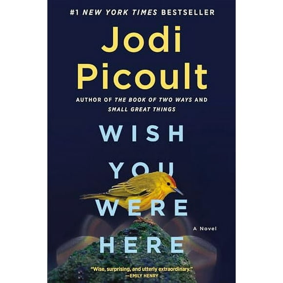 Wish You Were Here : A Novel (Paperback)