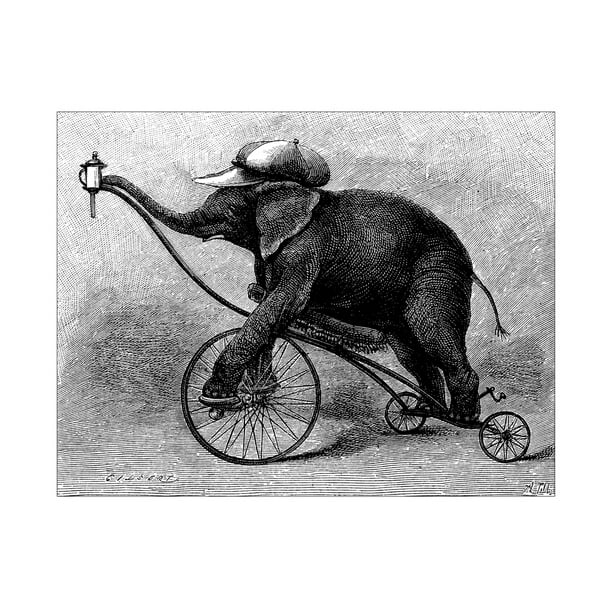 Antique Illustration of Circus Elephant Photo Photograph Elephant