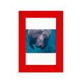 thumbnail image 1 of Marine Organism Photography Animal Picture Picture Display Art Red Photo Frame, 1 of 4