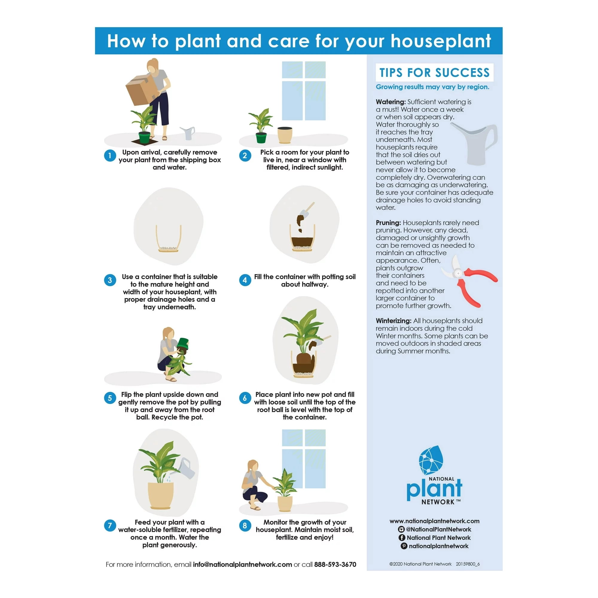 Plant with Purpose 6 in Philodendron McColley's Finale Live Houseplant with Indirect Sun- 2 Piece