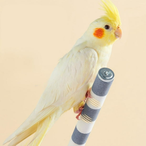 Perroquet à perche support cage à oiseaux perroquet debout bâton