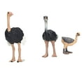 thumbnail image 2 of Zoo Animals,Ostrich Toy Hand Painted Coloring Exquisite Crafts Fine Workmanship Comfortable Grip Animal Figurines,Plastic Animals, 2 of 8