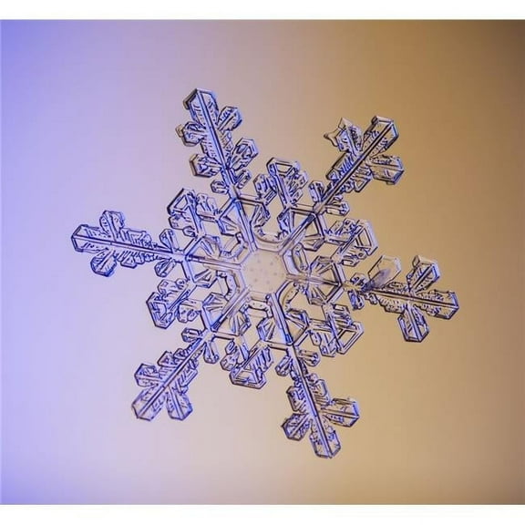 Photomicroscopic close up of a snowflake crystal  Alaska Poster Print