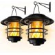 thumbnail image 1 of Solar Lights for Outdoor Garden, Glass and Metal IP65 Waterproof, Flickering Flames Wall Lights, Pack of 2 Hanging Wall Bracket for Porch, Patio and Y, 1 of 5