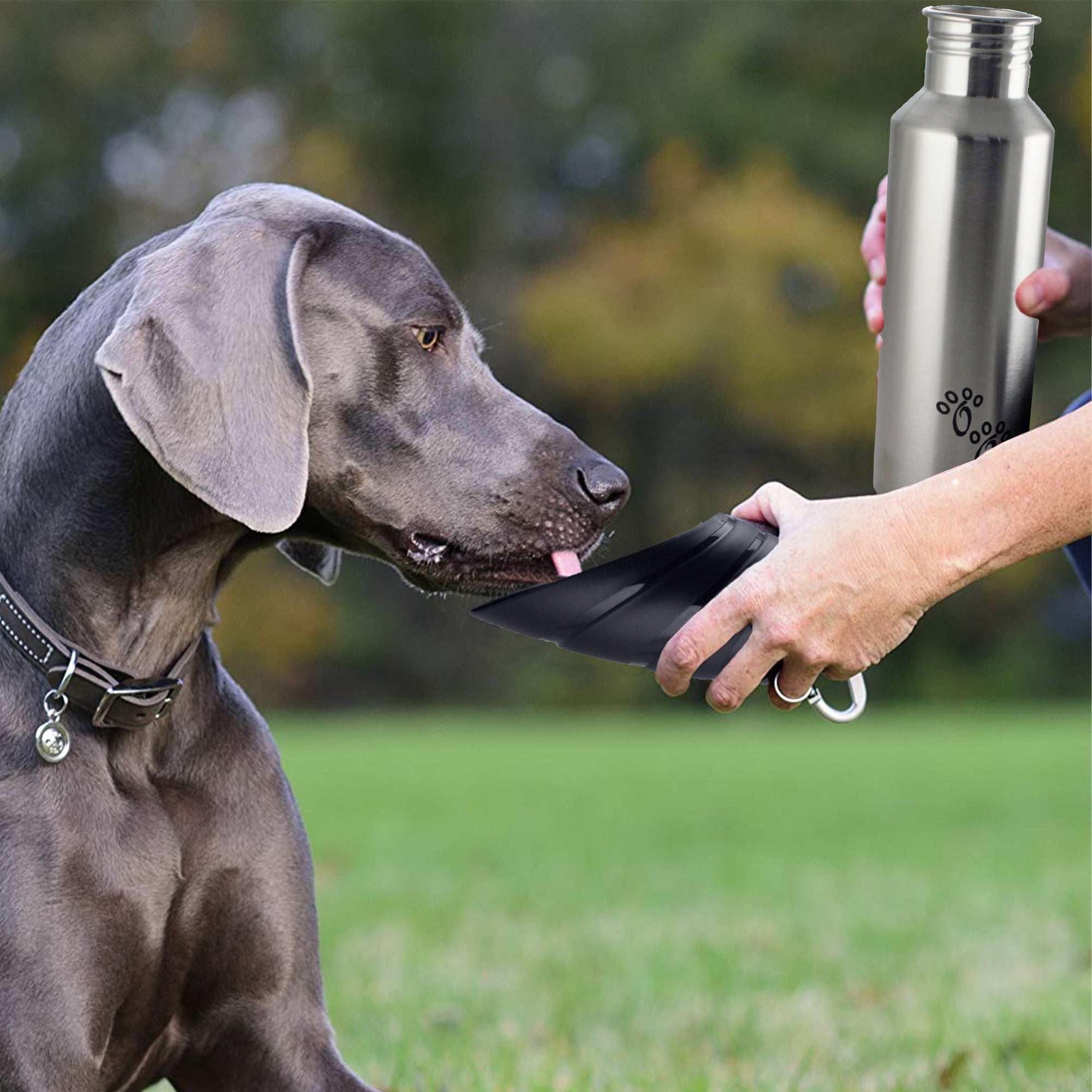Pefilos 25.36 OZ Stainless Steel Dog Water Bottle, Portable Convenient Dog Water Dispenser, Puppy Trave Bowl Perfect Size for Small Dog Breeds, Silver and Black M Pefilos 25.36 OZ Stainless Steel Dog Water Bottle, Portable Convenient Dog Water Dispenser, Puppy Trave Bowl Perfect Size for Small Dog Breeds, Silver and Black M