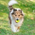 thumbnail image 4 of Pelotas de tenis para mascotas MEKAPLE Mini de 5 cm para perros pequeños, paquete de 6, 4 of 7