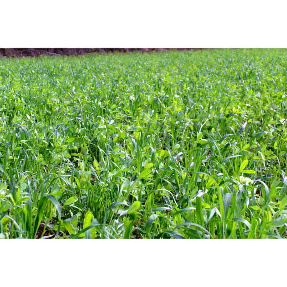 Whitetail Institute Imperial Destination Food Plot Seed 9 lb