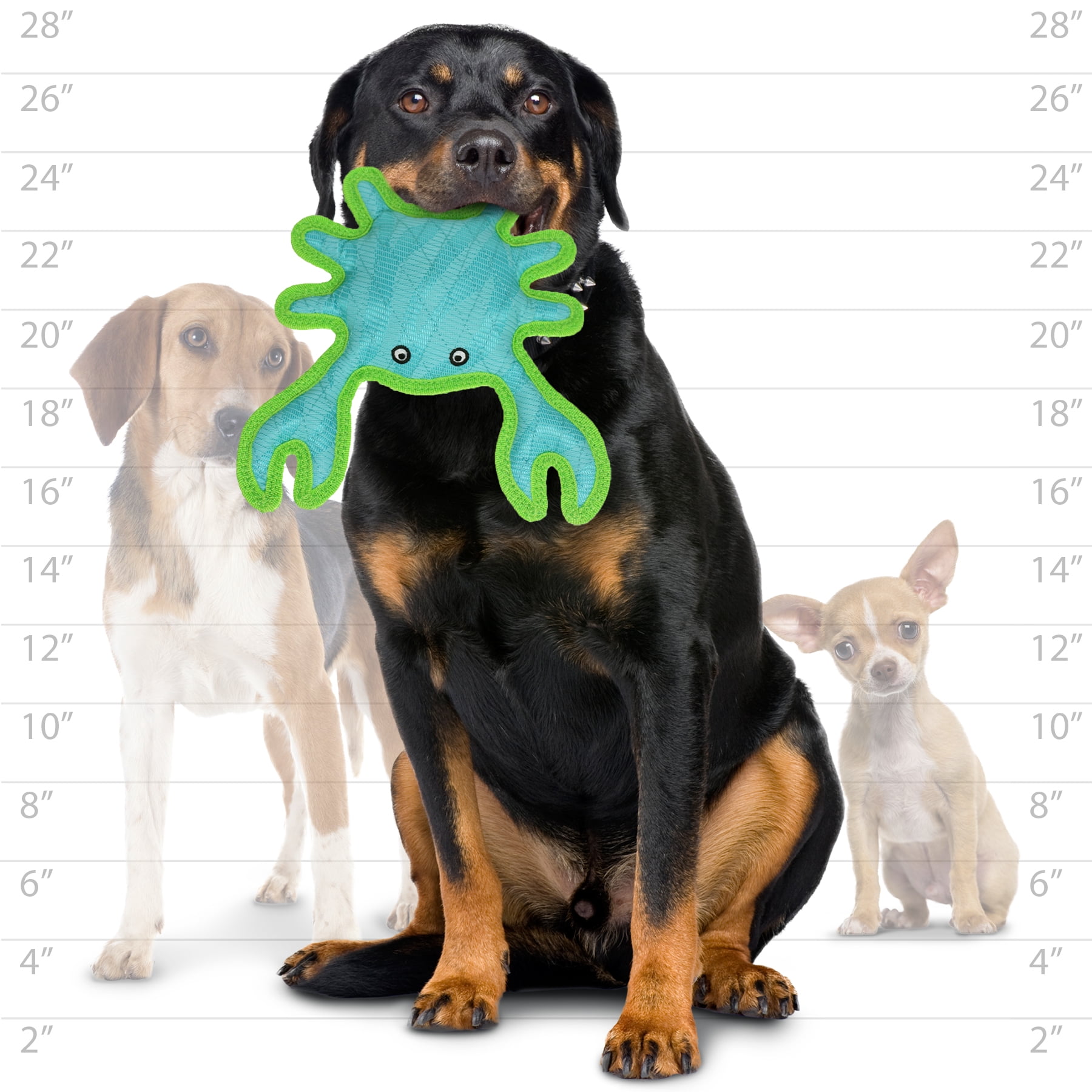 Duraforce - Durable Woven Fiber - Crab - Squeakers - Multiple Layers. Made Durable, Strong & Tough. Interactive Play Dog Toy (Tug, Toss & Fetch). Machine Washable & Floats (Combo Pack)