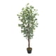 thumbnail image 1 of Planta ARTIFICIAL VANLIG Eucalipto 150 cm, 1 of 2