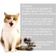 thumbnail image 5 of Bolas de hierba gatera Bolas de hierba gatera de juguete Bola de hierba gatera giratoria de 360 ​​​​° para gatos Bola de hierba gatera montada en la pared utilizada para gatos, limpiar los dientes y atraer gatos (2 unidades) JM, 5 of 5