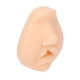 thumbnail image 3 of Modelo De Labio Hendido De Sutura, Modelo Educativo De Labio Hendido Para Comunicación Entre Médico Y Paciente Para Estudiantes De Medicina ANGGREK Cleft Lip Model, 3 of 8