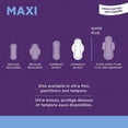 thumbnail image 2 of Incognito Maxi Overnight Sanitary Pad With Wings, 2 of 2