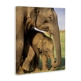 thumbnail image 2 of Stupell Industries Traditional Elephant Family Mother with Child Canvas Art, 16 x 20, by Gavriel Jecan / DanitaDelimont.com, 2 of 7