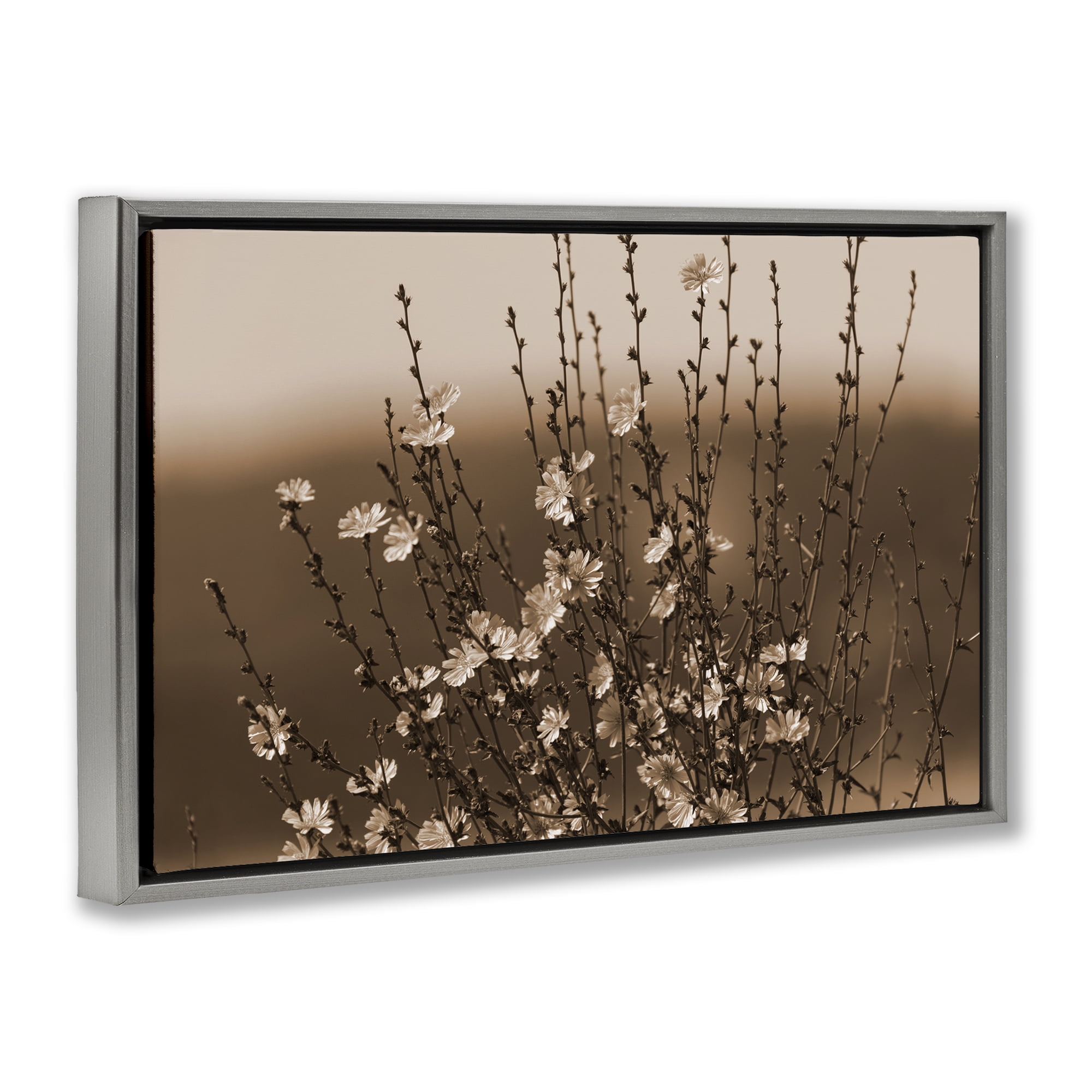 Stupell Industries Tiny Blooming Flowers Plants & Flowers Photography Gray Floater Framed Canvas Art Print Wall Art, 25 x 17