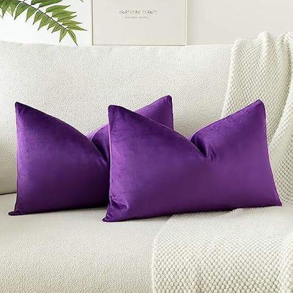 Eryueer Set of 2 Velvet Soft Solid Cushion Covers 30x50 cm Decorative Throw Pillow Covers Soft Lumbar Cushion Case Couch Home Decor Throw Pillow Cases for Sofa Bedroom 12x20 Inch (Purple)
