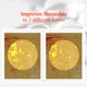 thumbnail image 4 of Sérum Pyunkang Yul PKY Radiance Vita 30 ml con ácido hialurónico, 4 of 9