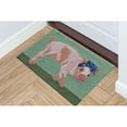 thumbnail image 6 of Liora Manne Novelty 30"X48" Green Rectangle Area Rugs FTP34442406, 6 of 6
