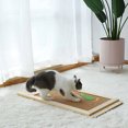 thumbnail image 2 of BESTSKY 3Pcs Cat Toy,Sound Box Design Cat Toys Interactive,Engaging Interactive Fun Interactive Cat Toys for Indoor Cats,Green,24cm, 2 of 5