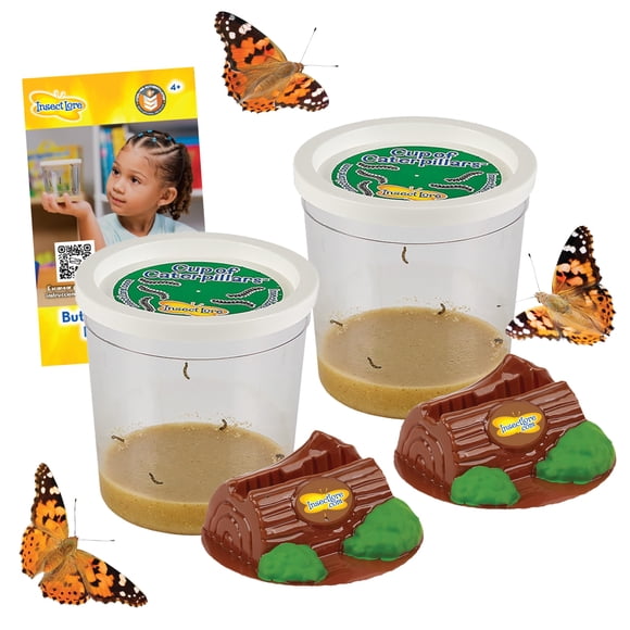 Repuesto de orugas vivas Insect Lore para mariposas Painted Lady