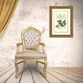 thumbnail image 3 of Weddell 10x14 Gold Ornate Wood Framed with Double Matting Museum Art Print Titled - Woodland Foliage IV, 3 of 4