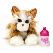 FurReal Friends: Marmalade Kitten