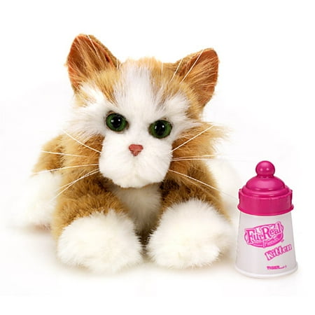 FurReal Friends: Marmalade Kitten
