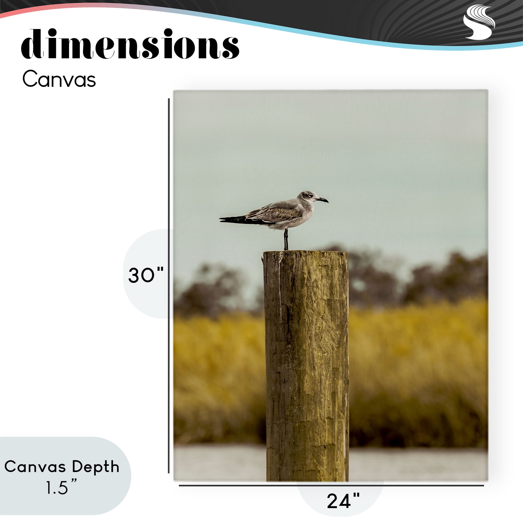 Stupell Industries Gull On Piling Canvas Wall Art, design by Christy Berry