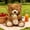 B.B, variant on Milk Tea Teddy Bear Plush Toy 16 Inch - Super Soft Stuffed Animal for Anxiety Relief, Cute Doll Gift for Kids Birthday Christmas Girls & Boys B