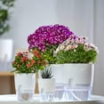 thumbnail image 4 of Sunjoy Tech Self Watering Planter Pots, Indoor Home Garden Modern Decorative Pot for Potting Small House Plants African Violet Cactus Herbs Succulents or Start Seedlings, 4 of 8