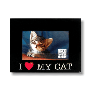 Sixtrees 4X6 Pet Frame  I Heart My Cat  3D  Walmart com