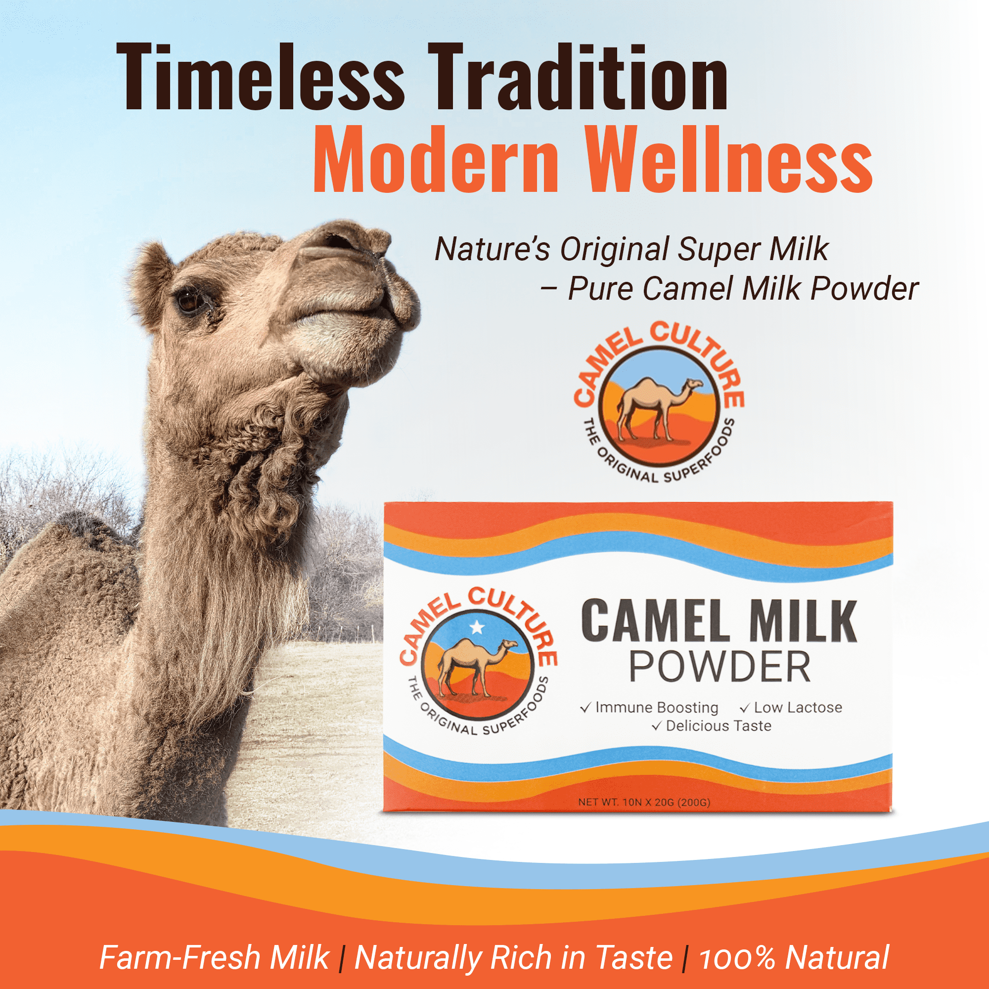 Camel Culture Dry Camel Milk Powder (10 Sachets) – 20g Nutrient Dense, Low Lactose Powdered Milk Packets – Concentrated, Pasteurized Traditional Dairy Alternative - Health Drink Powder for Smoothies