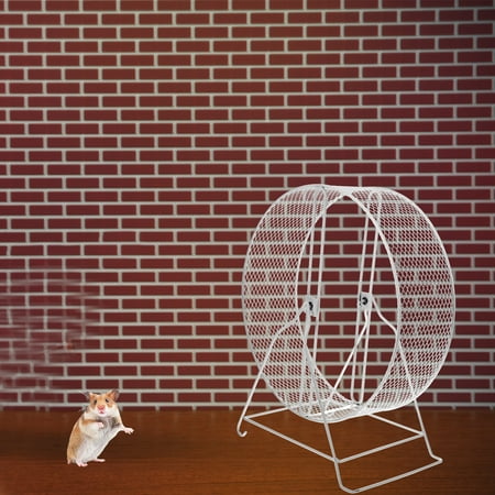 BESTOYARD Chinchilla Metal Wheel Iron Round Exercise Wheel for Indoor Use 1Pcs 14.37*12.6*7.48in