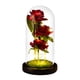 thumbnail image 2 of Acuerdo Tres rosas preservadas en cúpula de cristal con luces LED para decoración del hogar y regalo (1 unidad) Rkxzt, 2 of 9