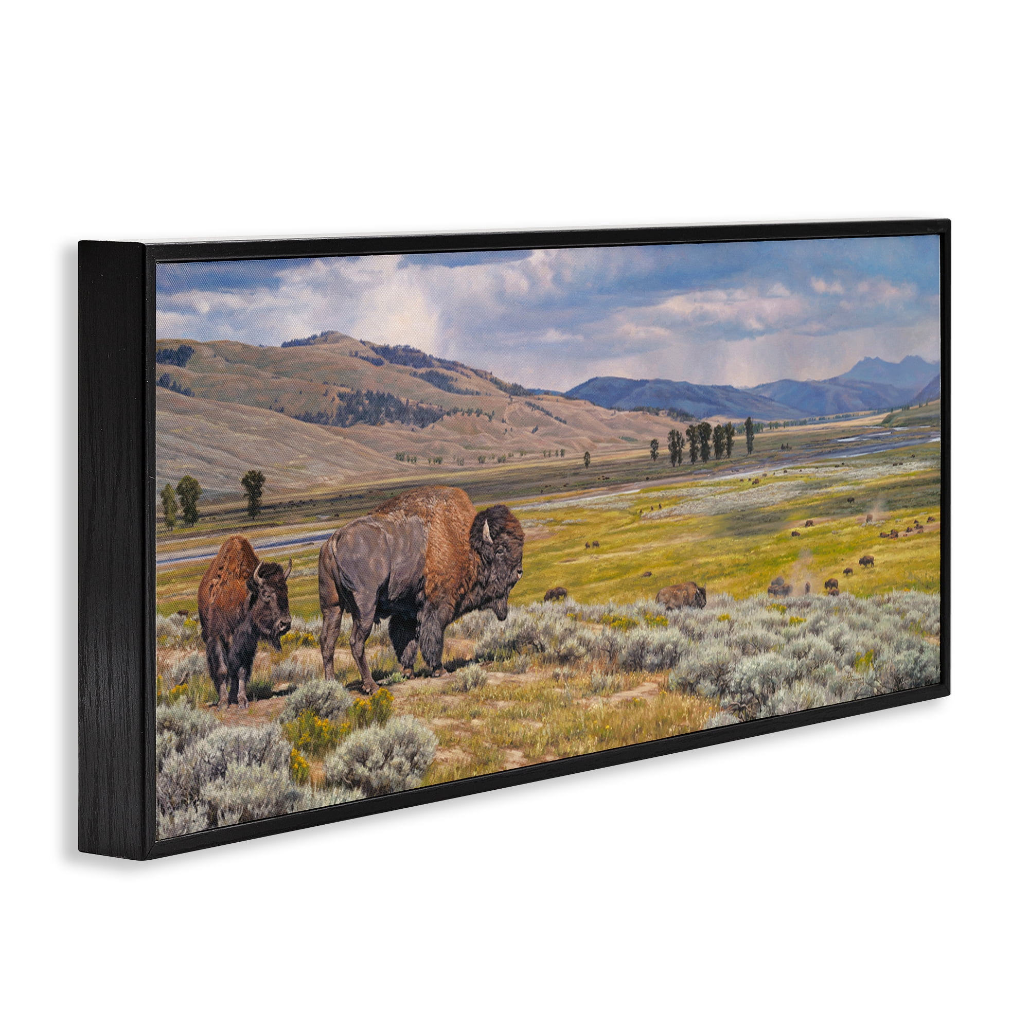Stupell Industries Roaming Southwestern Bison Landscape Painting Black Framed Art Print Wall Art, 24 x 10
