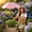 Pink, variant on AUNVITO Plant Sun Shade, UV Protection, Adjustable, for Garden, Patio, Balcony, Easy to Install, Durable