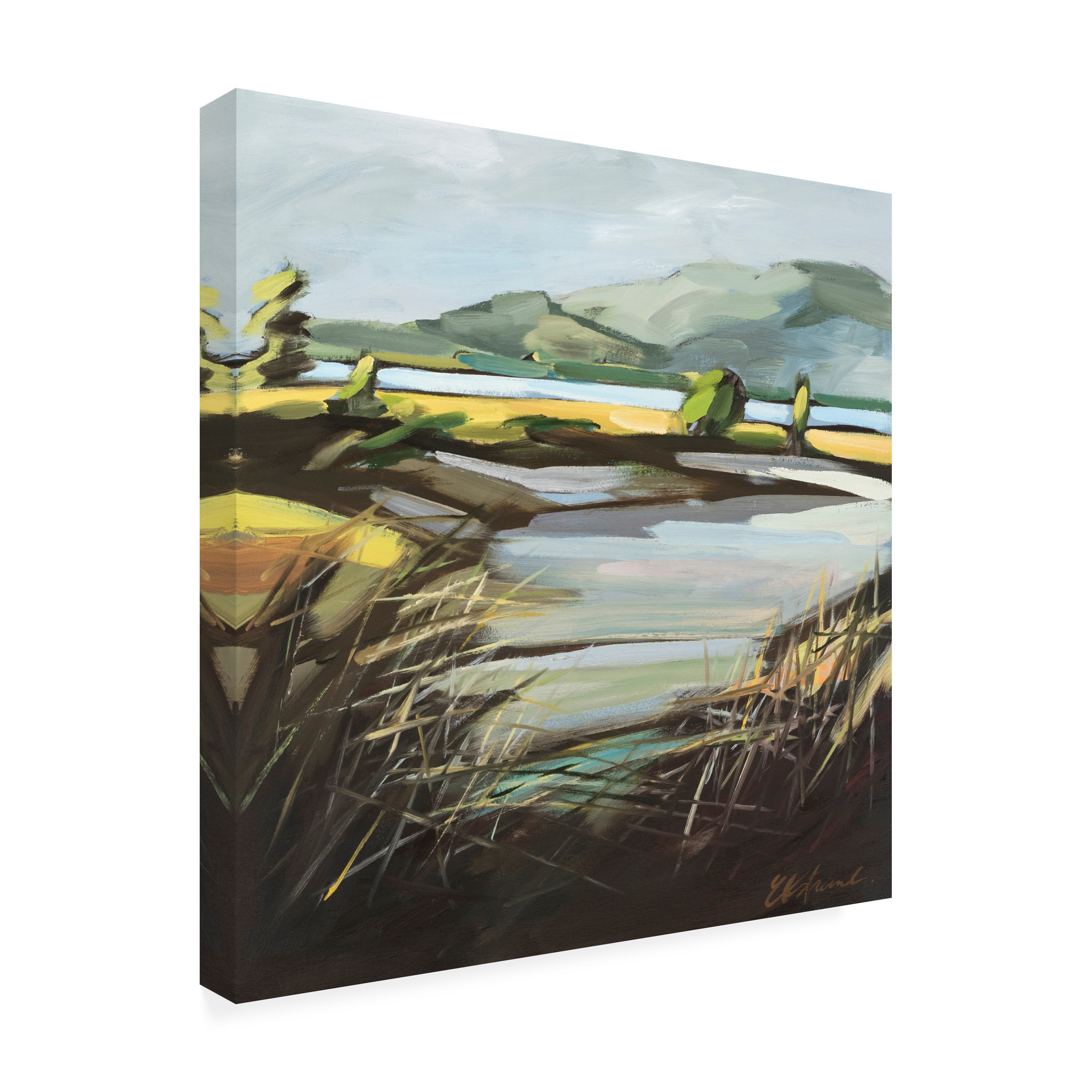 Kris Ekstrand 'Pantano' Canvas Art